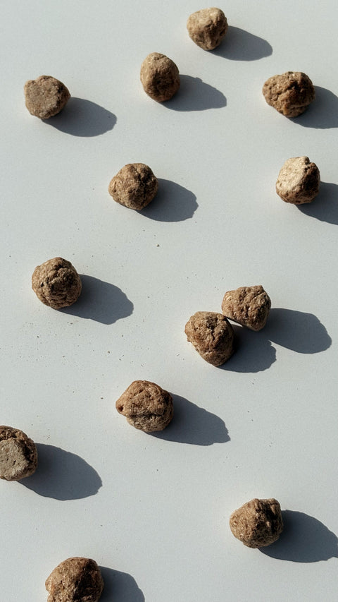 bbites | Mushroom Ball (Freeze-dried)