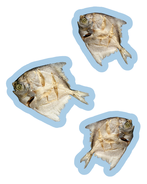 bbites | Baby Pomfret (Freeze-dried)