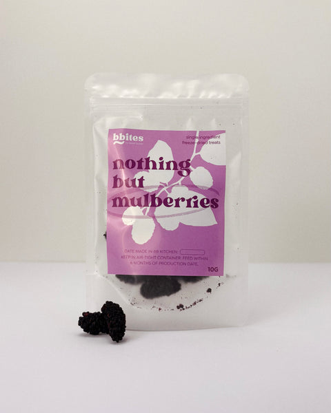 bbites | Mulberries (Freeze-dried)