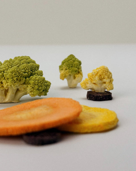 bbites | Rainbow Carrots (Freeze-dried)