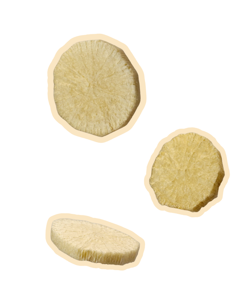 bbites | Poached Daikon (Freeze-dried)