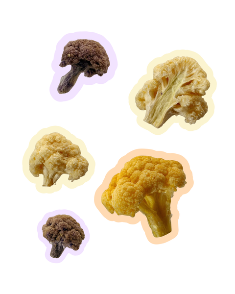 bbites | Rainbow Cauliflower (Freeze-dried)