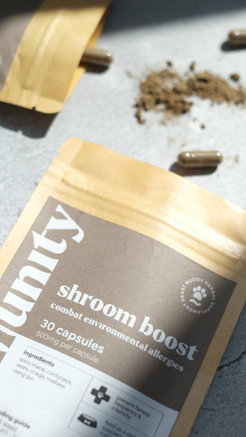 BB Herbal | Shroom Boost