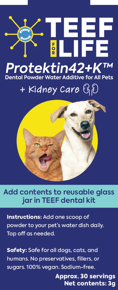 TEEF | Protektin42™ + Kidney Care Refill Sachet (For all pets)