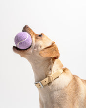 Load image into Gallery viewer, Wild One | Tennis Ball Set
