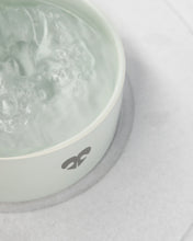 Load image into Gallery viewer, Paws Akin | Ceramic Dog bowl
