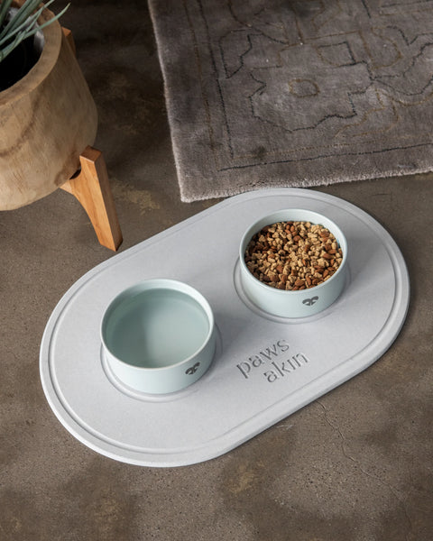 Paws Akin | Instant Drying Dog Mat Bowl Set