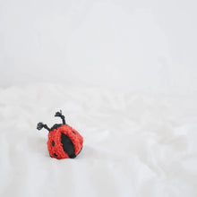 Load image into Gallery viewer, Lambwolf | Ladybug Pop
