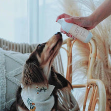 Load image into Gallery viewer, A Pet Story | magic + soothing water duo
