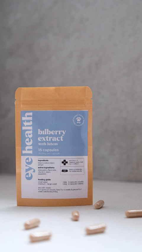 BB Herbal | Bilberry Extract