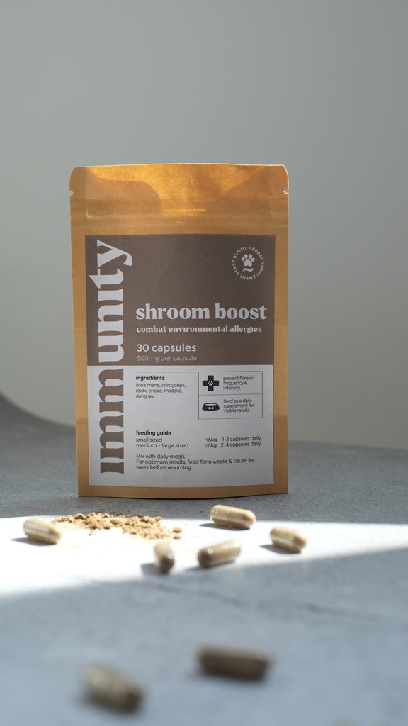 BB Herbal | Shroom Boost