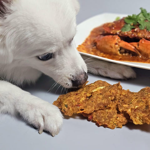 PAWFF | Chilli Crab