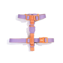 Load image into Gallery viewer, Zee.Dog NEOPRO | Iris H-Harness
