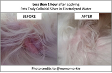 Load image into Gallery viewer, Pets Truly | Colloidal Silver in Electrolysed Water
