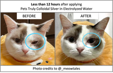 Load image into Gallery viewer, Pets Truly | Colloidal Silver in Electrolysed Water
