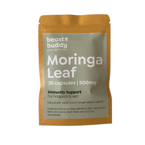 BB Herbal | Moringa Leaf