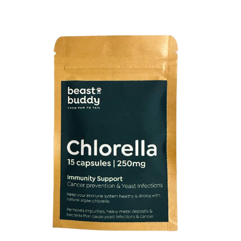 BB Herbal | Chlorella Powder
