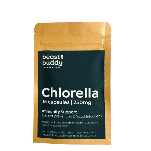BB Herbal | Chlorella Powder